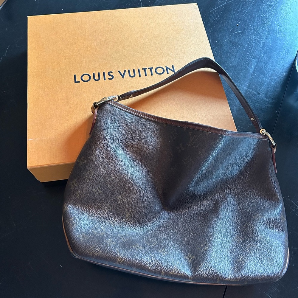 Authentic Louis Vuitton Delightful Bag & original Louis Vuitton magnetic box